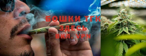 PSILOCYBIN Михайловск