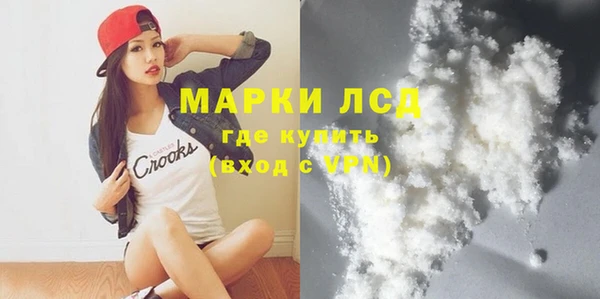 PSILOCYBIN Михайлов