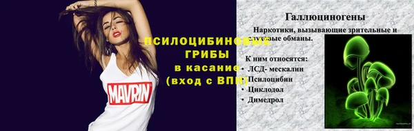 PSILOCYBIN Михайлов