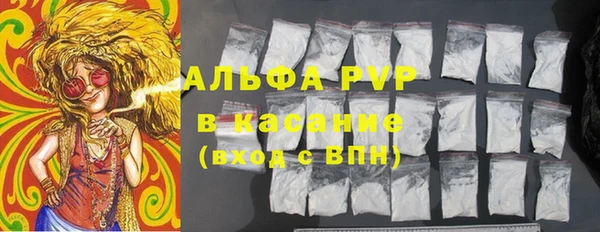 PSILOCYBIN Михайлов