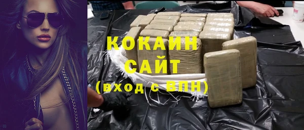 PSILOCYBIN Михайлов